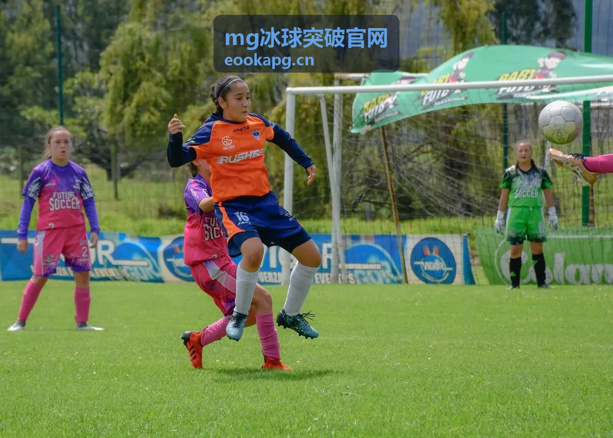mg冰球突破官网版本更新分类封面